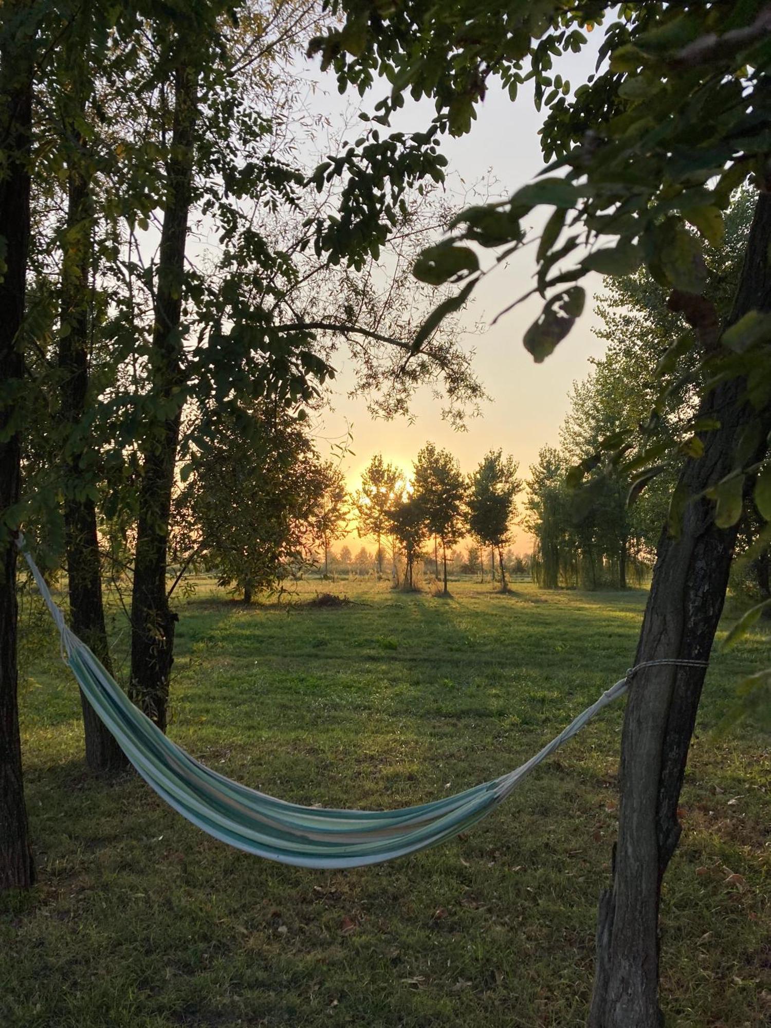 Agriturismo Corte Carezzabella San Martino di Venezze Zewnętrze zdjęcie