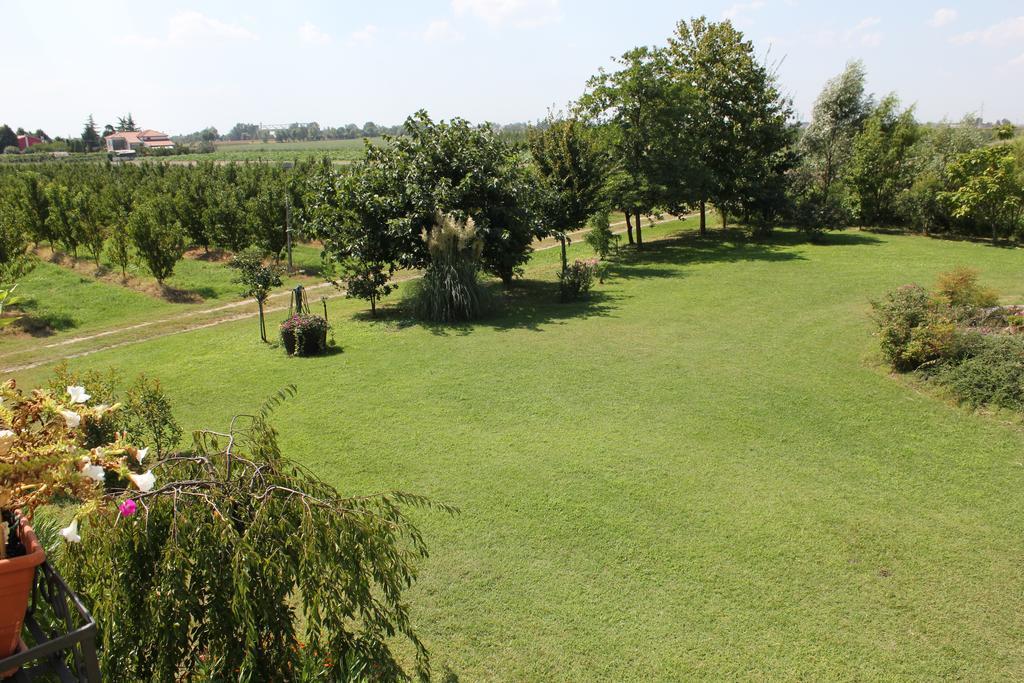 Agriturismo Corte Carezzabella San Martino di Venezze Zewnętrze zdjęcie