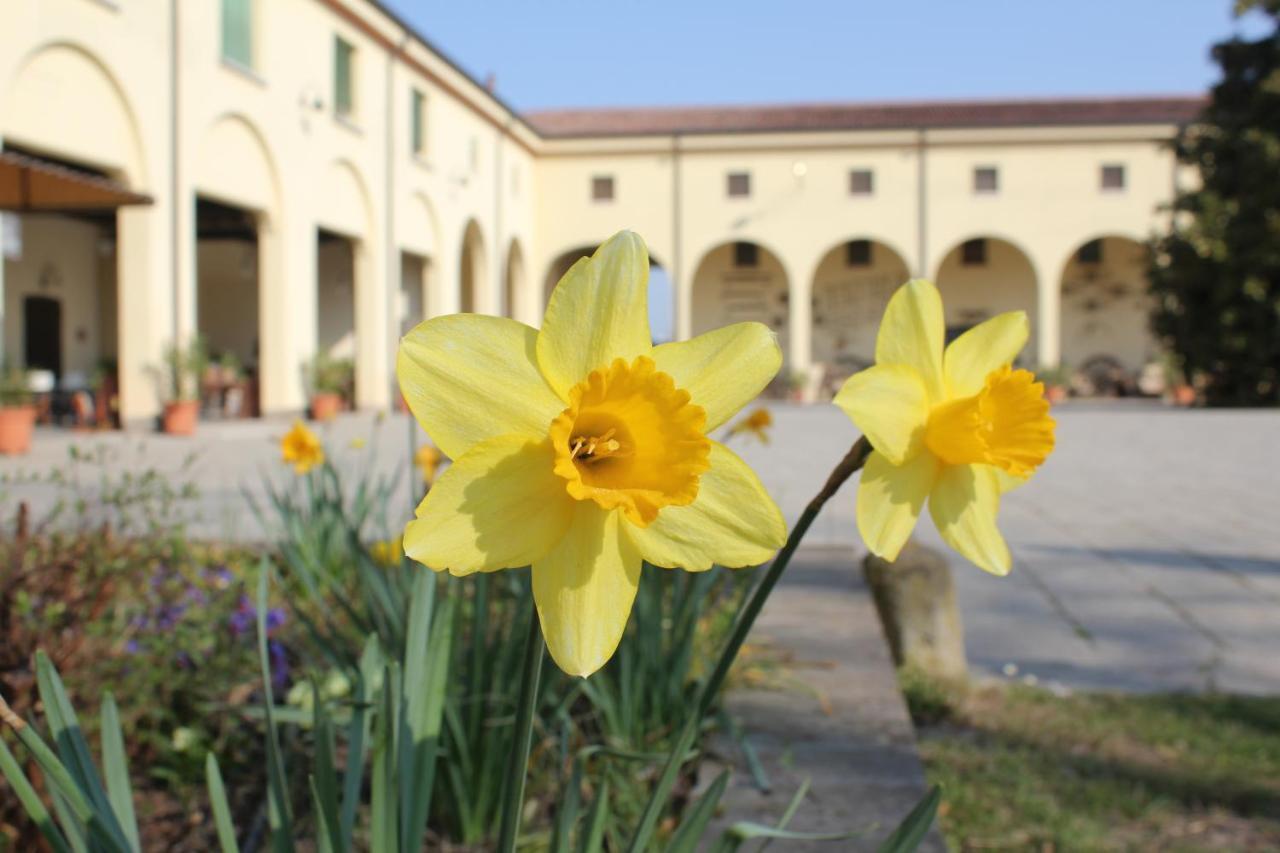 Agriturismo Corte Carezzabella San Martino di Venezze Zewnętrze zdjęcie