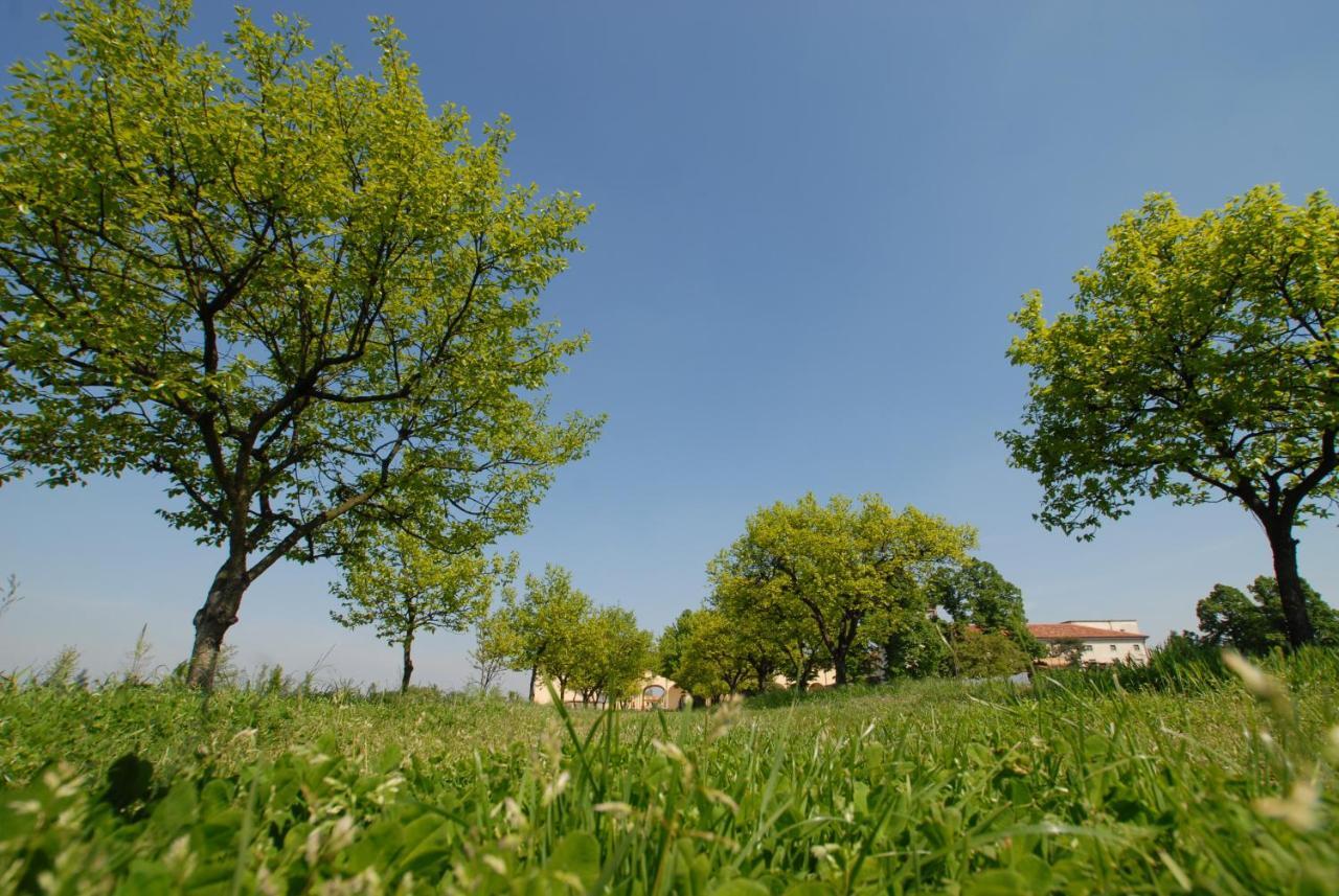 Agriturismo Corte Carezzabella San Martino di Venezze Zewnętrze zdjęcie